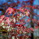 Illustration for article titled Fall photo dump